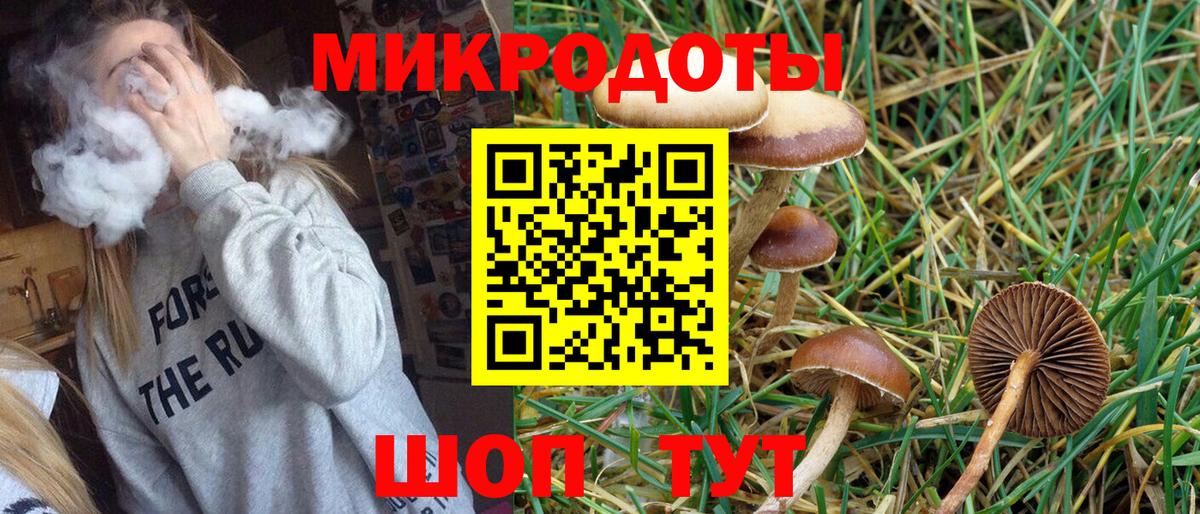Псилоцибиновые грибы GOLDEN TEACHER  Галлюциногенные грибы Psilocybe  наркотики  Вход с VPN  Сухой Лог 